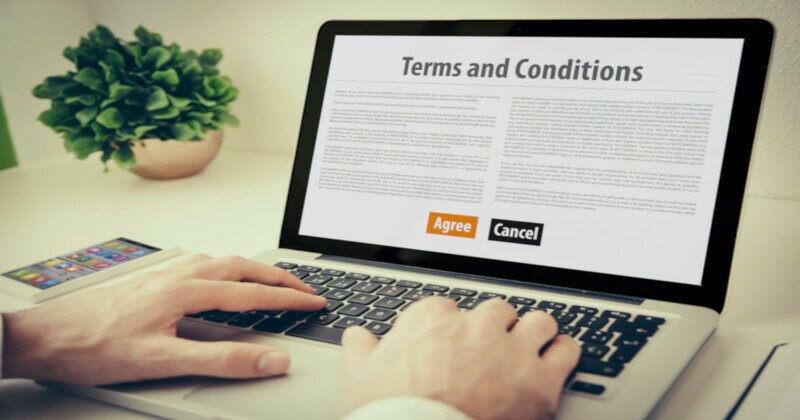 Subscription Terms & Conditions